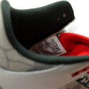 AIR JORDAN 3 RETRO "WINGS 2024"